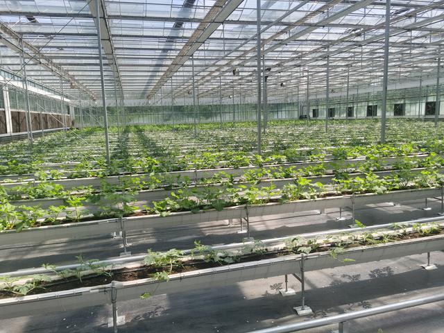 新疆农业博览园智慧农业科技展馆亮相