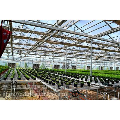 河北唐山农业科技示范园区温室玻璃外墙、抗10级风遮阳率高