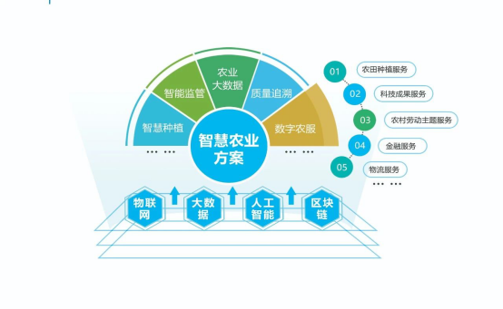 科技赋能,给农业插上智能化翅膀