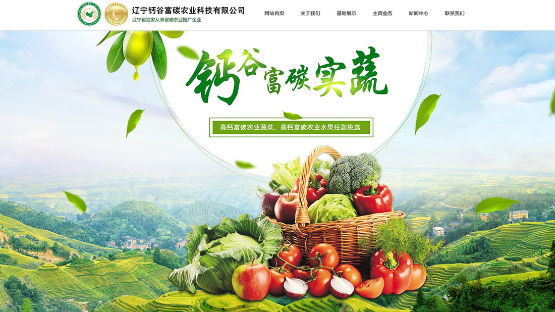 辽宁钙谷富碳农业科技 - 农副产品行业网站建设【精品网站案