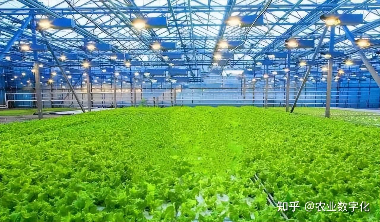 农业科技的发展如何解决农业产业面临的问题?